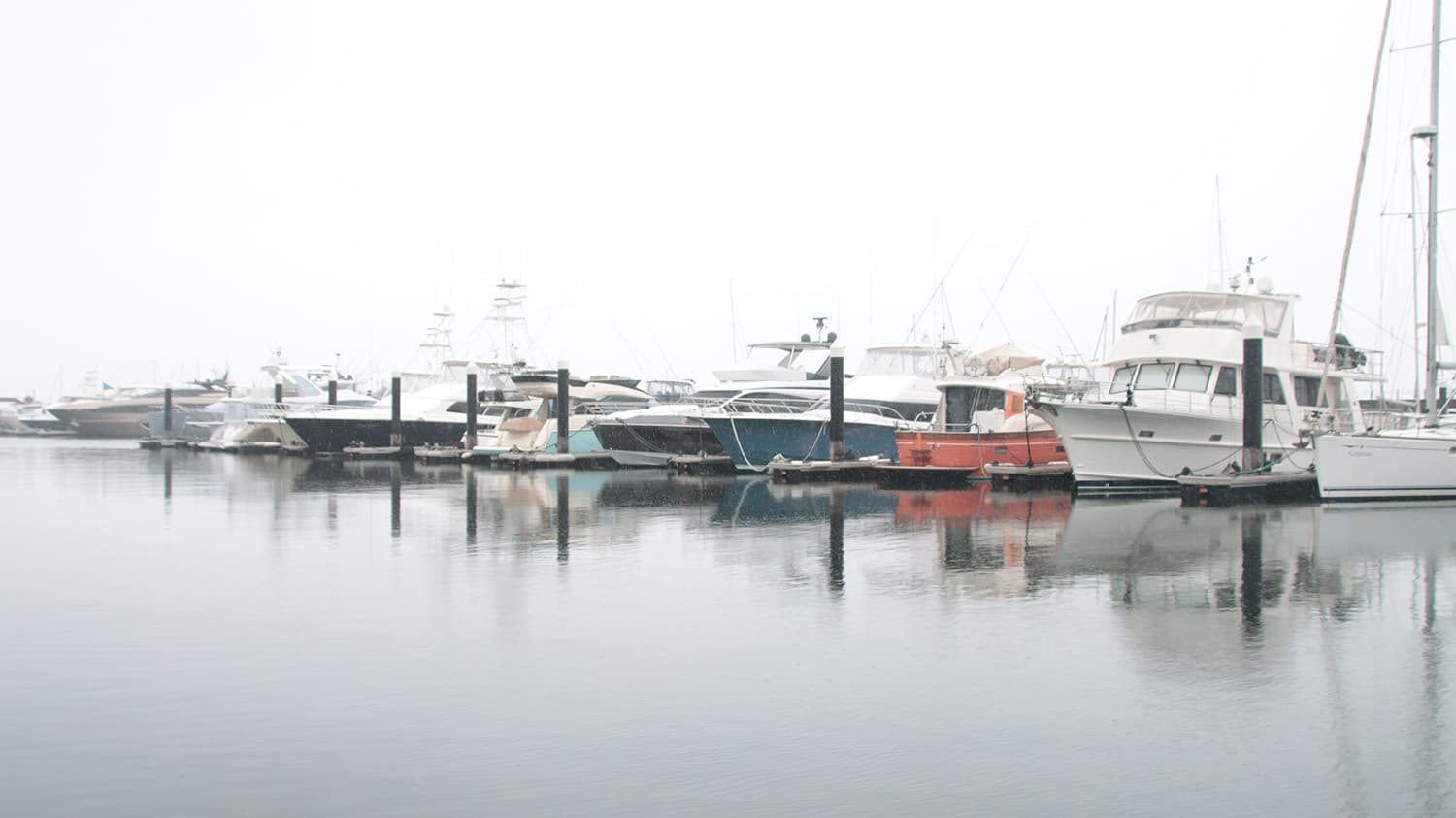 JAPAN INTERNATIONAL BOAT SHOW 2023