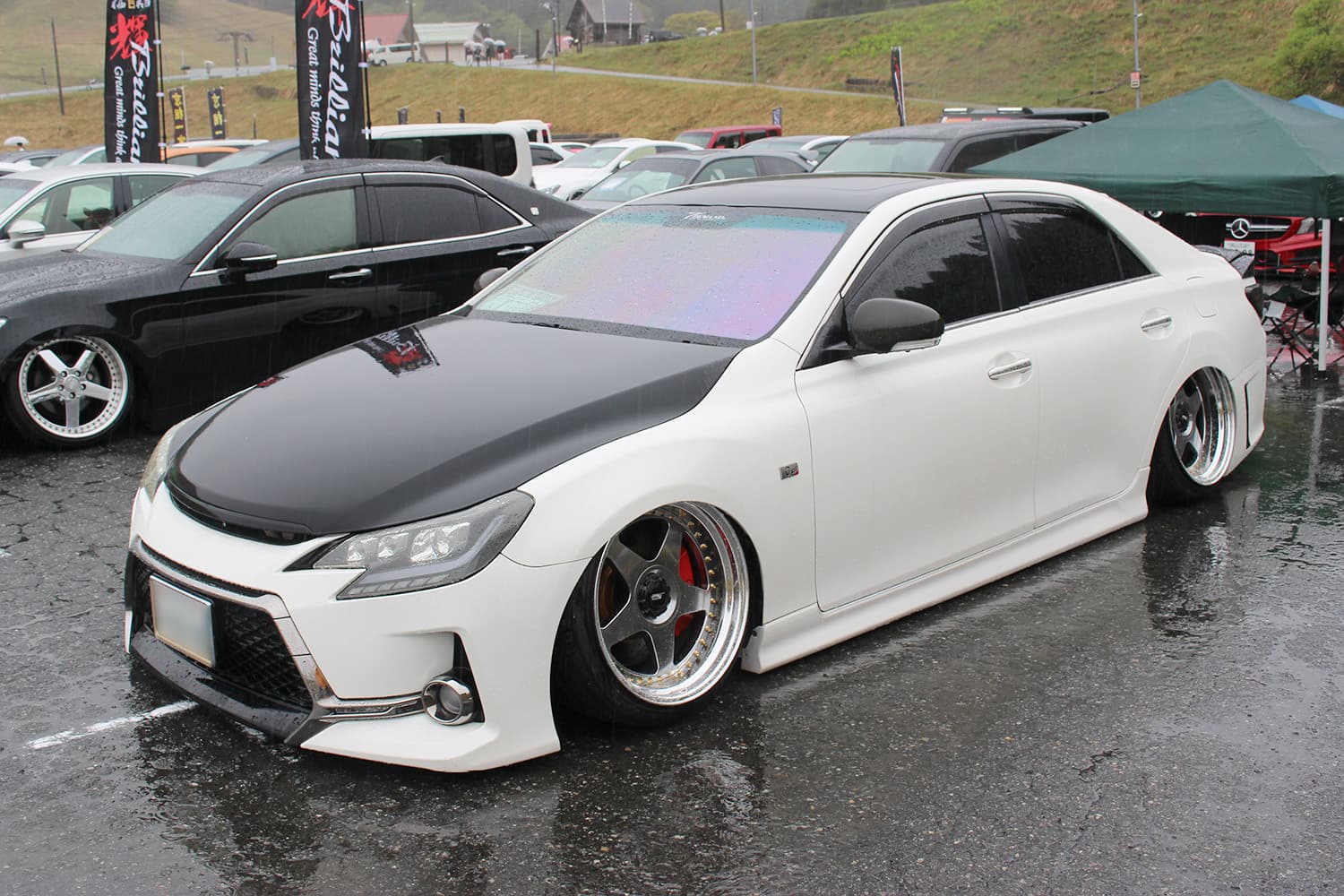 Vertex杯