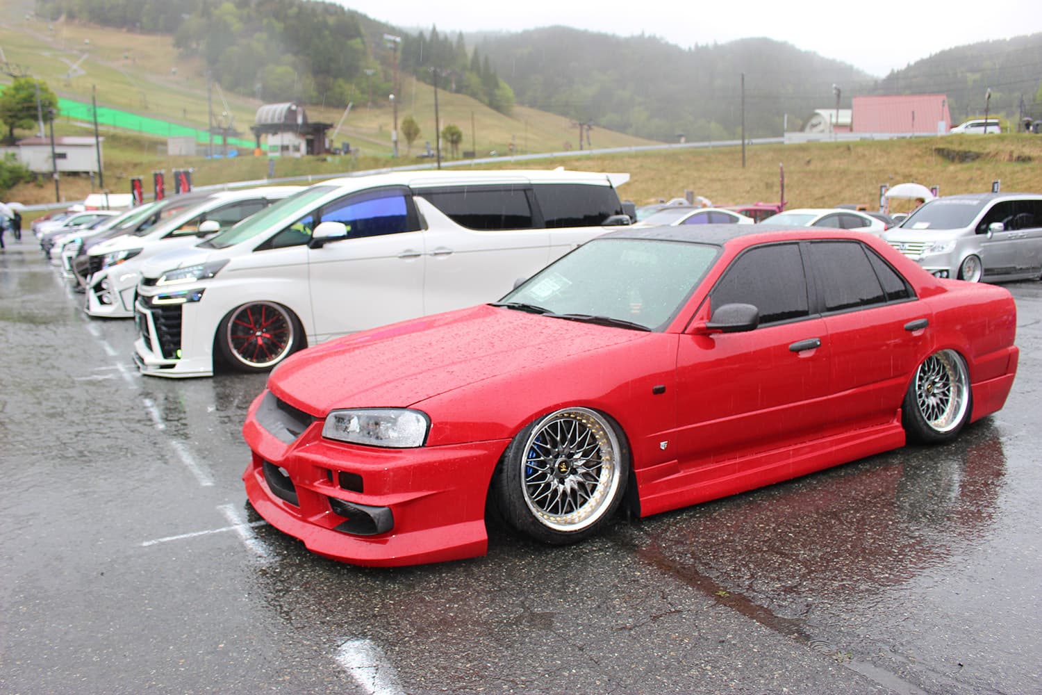 Vertex杯