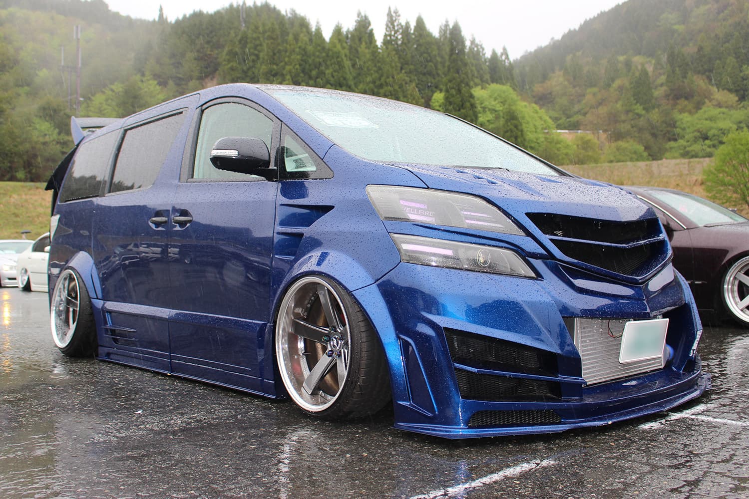 Vertex杯