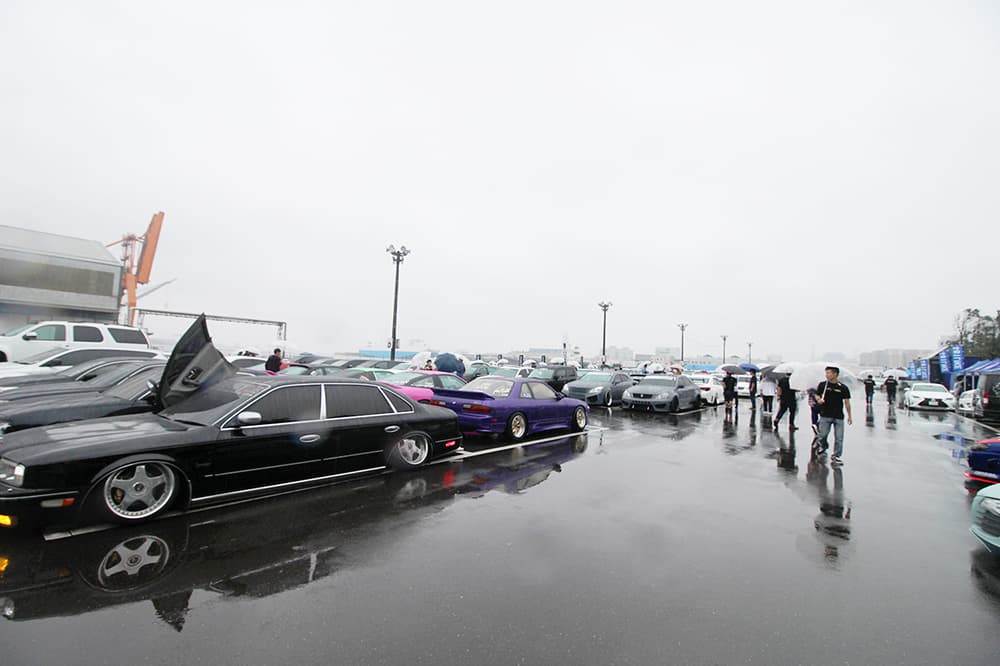 +81LIKE Hellaflush 2019