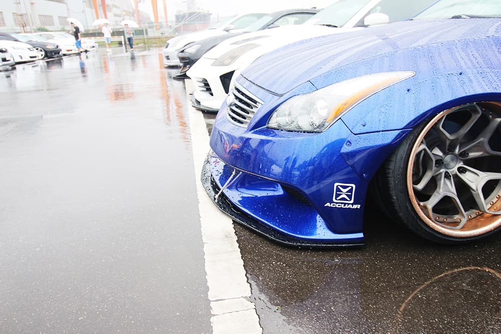 +81LIKE Hellaflush 2019