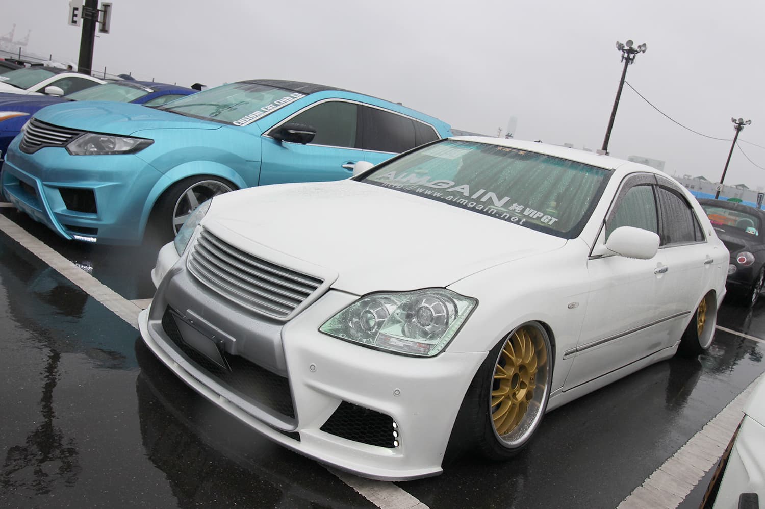 +81LIKE Hellaflush 2019