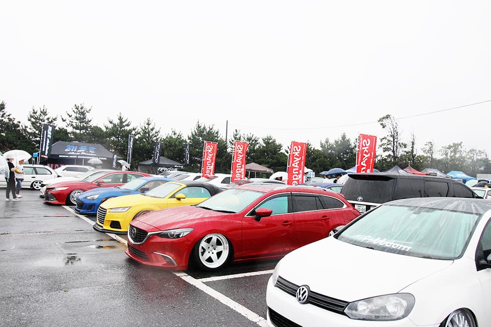 +81LIKE Hellaflush 2019