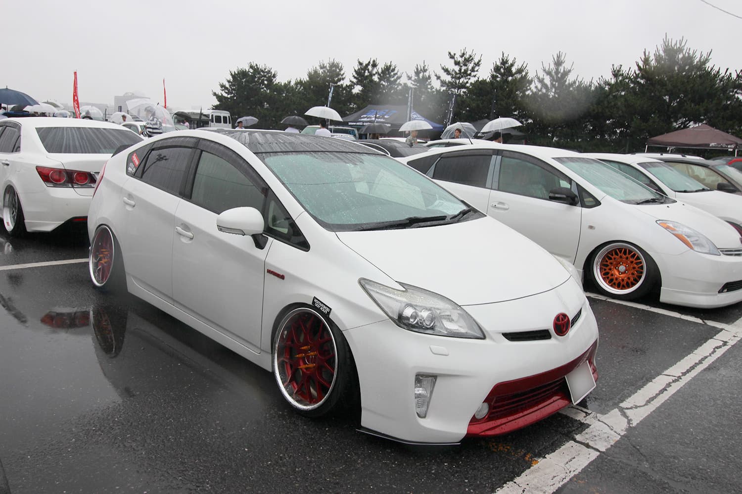 +81LIKE Hellaflush 2019