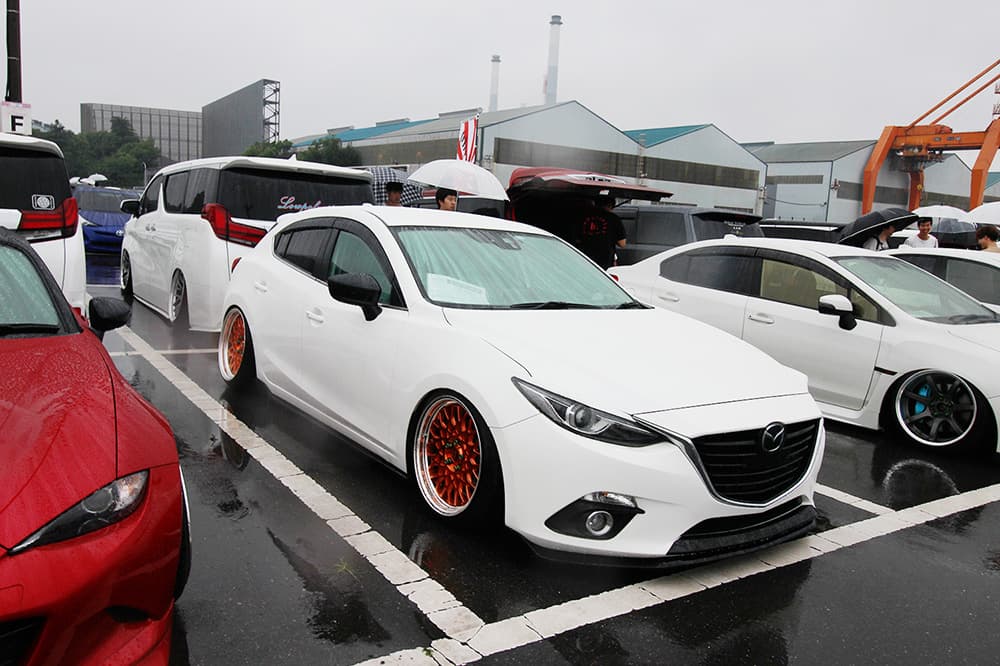 +81LIKE Hellaflush 2019