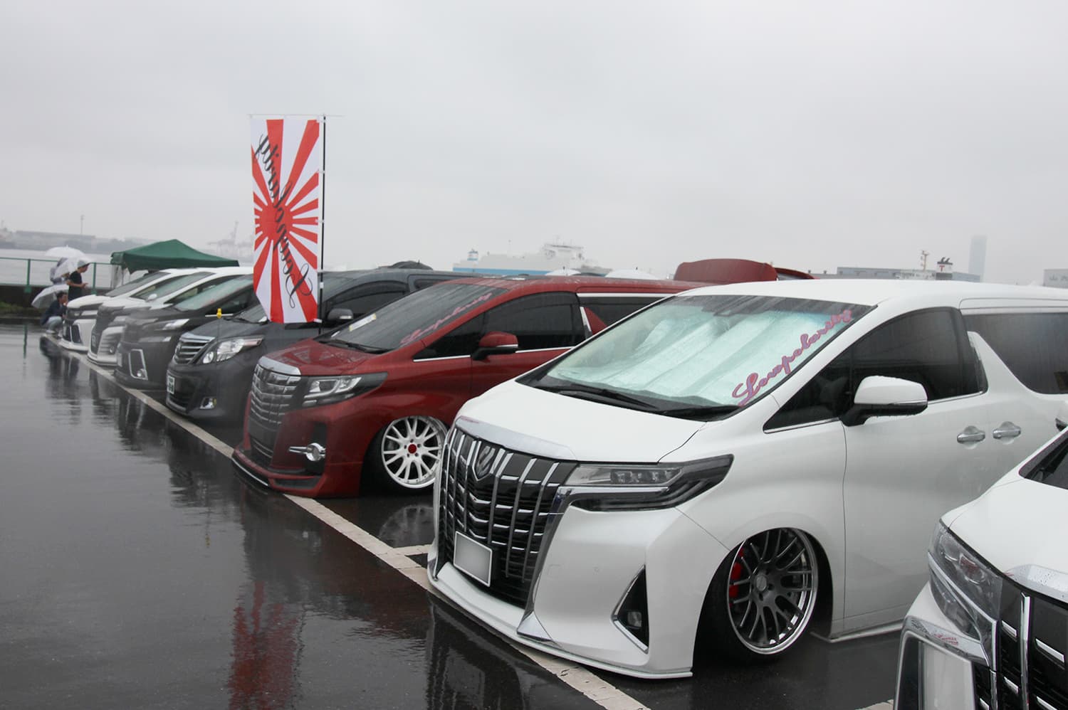 +81LIKE Hellaflush 2019