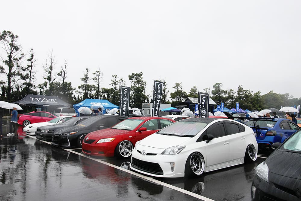 +81LIKE Hellaflush 2019