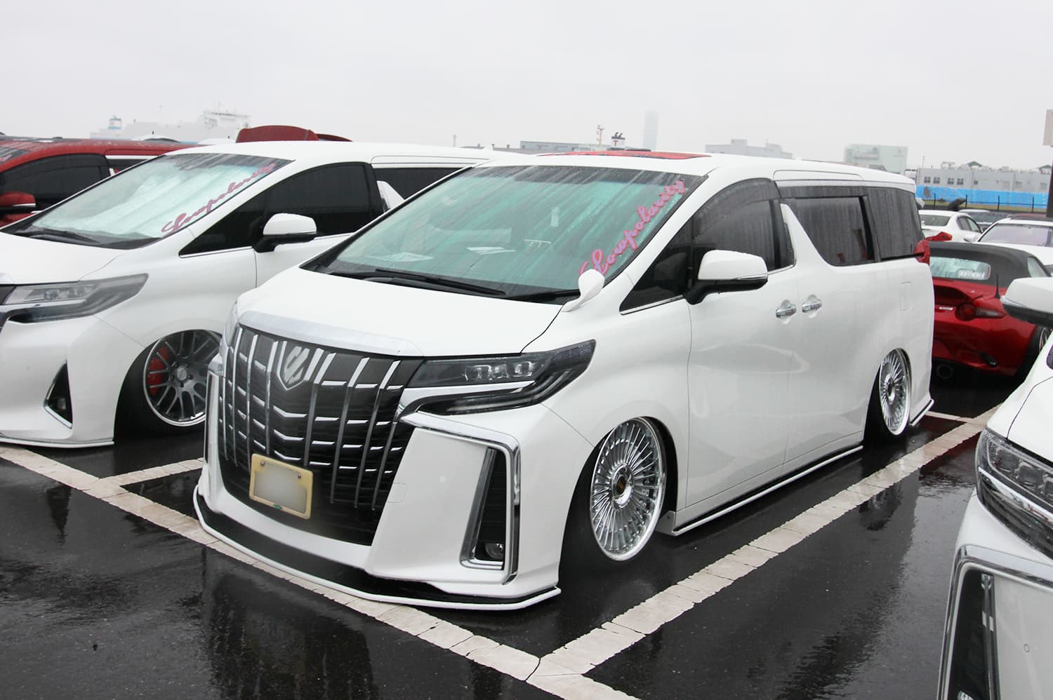 +81LIKE Hellaflush 2019