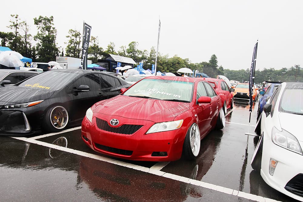 +81LIKE Hellaflush 2019