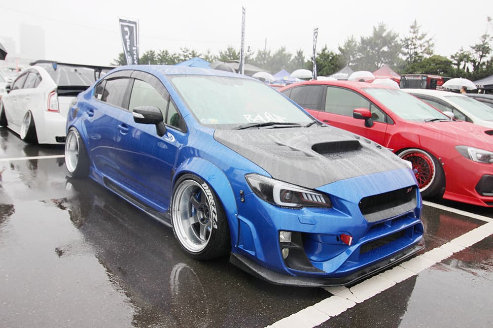+81LIKE Hellaflush 2019