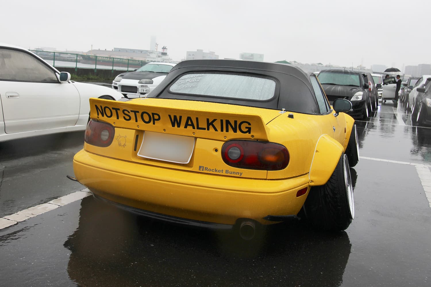 +81LIKE Hellaflush 2019