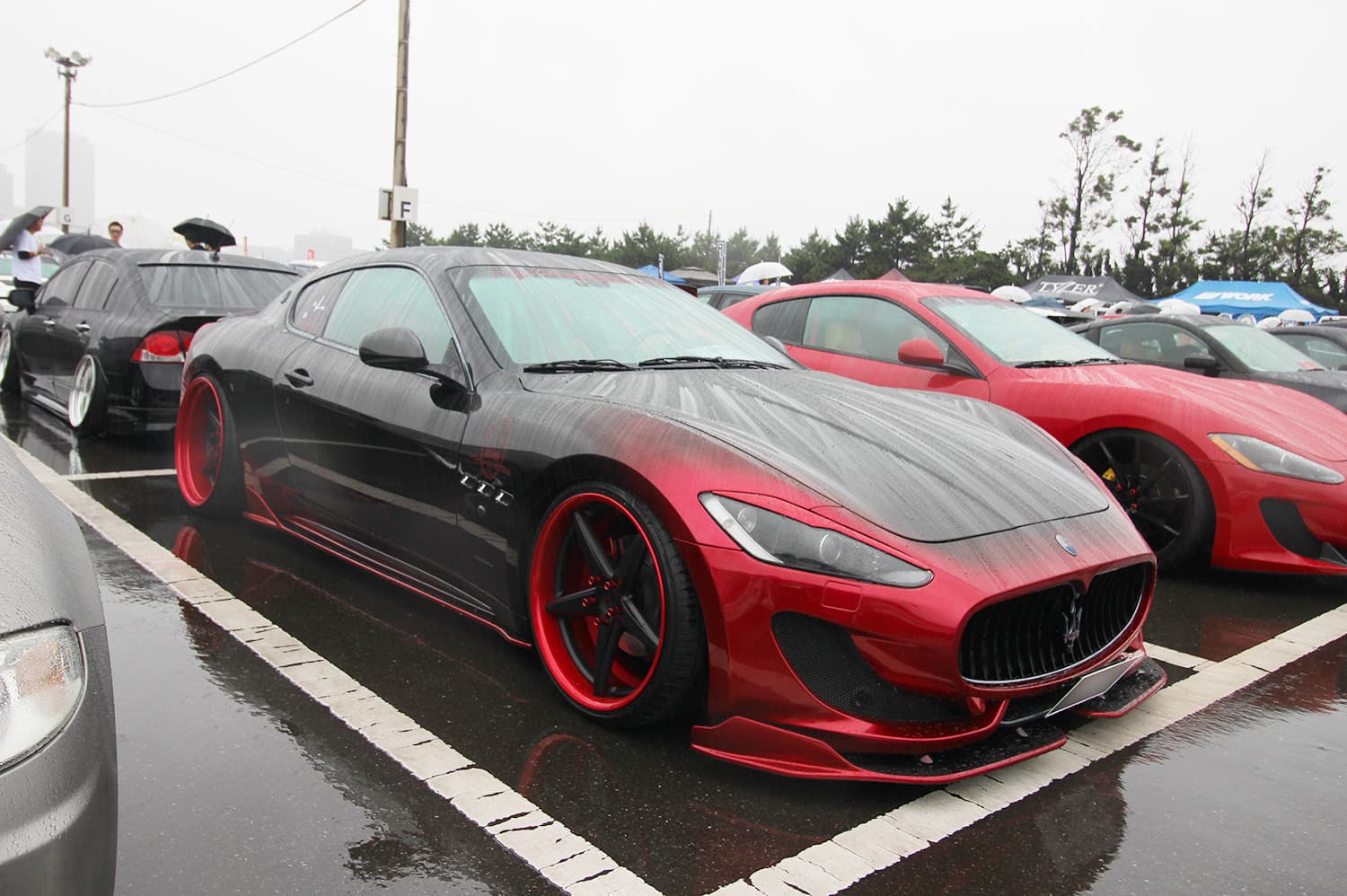 +81LIKE Hellaflush 2019