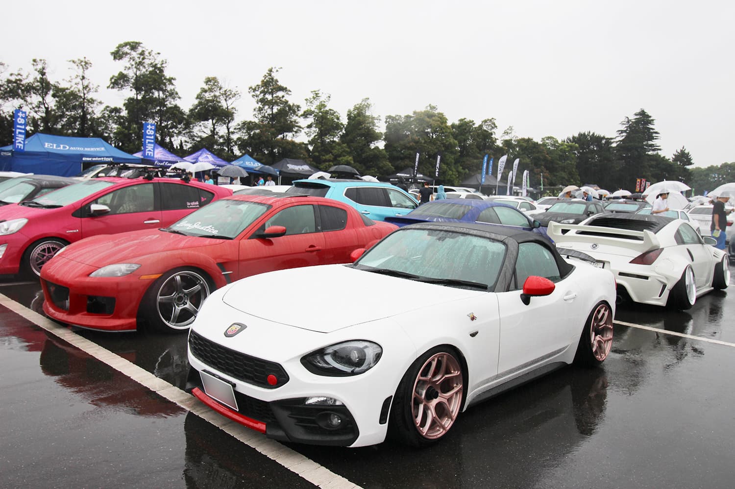 +81LIKE Hellaflush 2019