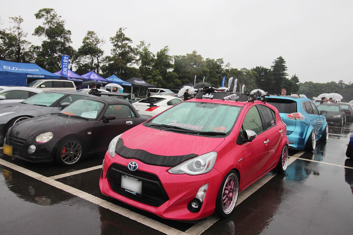 +81LIKE Hellaflush 2019