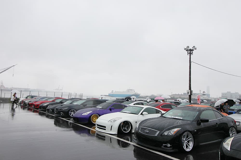 +81LIKE Hellaflush 2019