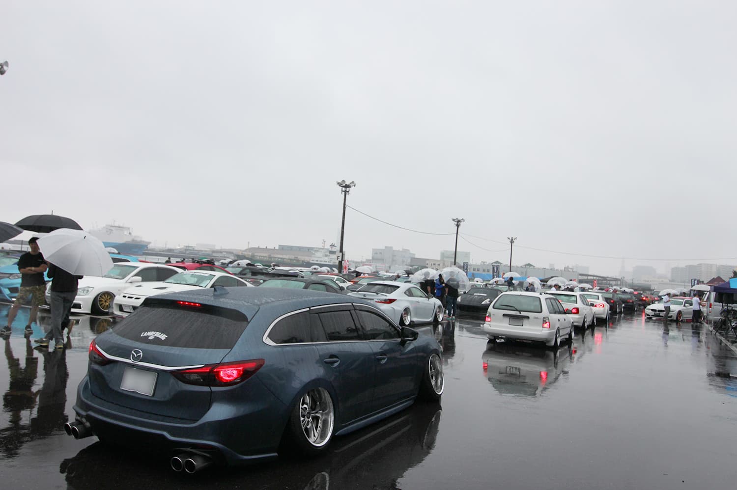+81LIKE Hellaflush 2019