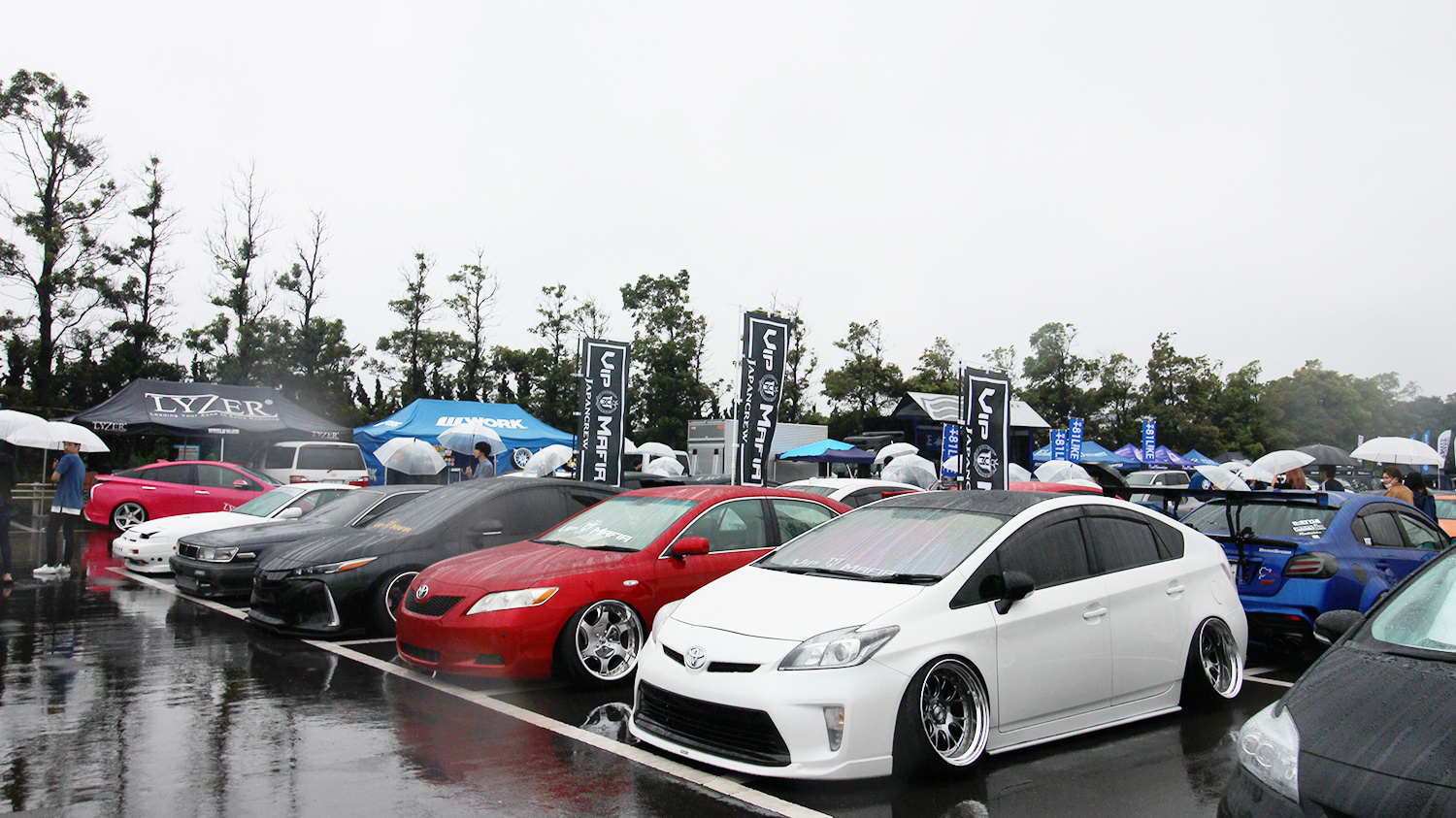 +81LIKE Hellaflush 2019