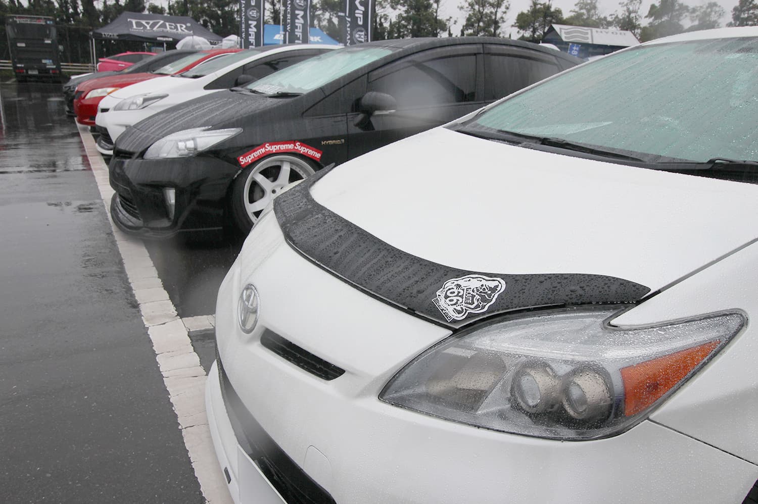 +81LIKE Hellaflush 2019